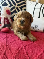 processed/4699521c-22d2-4a74-bf1a-62848d91c4e2/listing/3922aea8-6f28-4170-b0ce-81593cf04fef/37bdd01e-9f6b-4725-b3f8-30b19b51de42