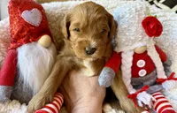 processed/4699521c-22d2-4a74-bf1a-62848d91c4e2/listing/3922aea8-6f28-4170-b0ce-81593cf04fef/5d2c8030-53c2-4e54-9d1f-d8ac5de19805