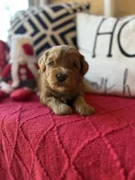 processed/4699521c-22d2-4a74-bf1a-62848d91c4e2/listing/3922aea8-6f28-4170-b0ce-81593cf04fef/6f167b1c-0d2c-4a37-9de5-07e01675f00a