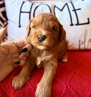 processed/4699521c-22d2-4a74-bf1a-62848d91c4e2/listing/3922aea8-6f28-4170-b0ce-81593cf04fef/b6f5d342-75b4-4b02-9ce7-6796c4a751ed