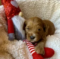 processed/4699521c-22d2-4a74-bf1a-62848d91c4e2/listing/3922aea8-6f28-4170-b0ce-81593cf04fef/d9286047-b895-43e0-9c71-7811f594e3c8