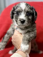 processed/4699521c-22d2-4a74-bf1a-62848d91c4e2/listing/4031b5c5-a207-4cd5-85e2-c4258e7ceba3/5560d7f1-2e03-4201-9f52-449db7b419f6