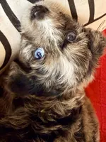 processed/4699521c-22d2-4a74-bf1a-62848d91c4e2/listing/4031b5c5-a207-4cd5-85e2-c4258e7ceba3/56d9d3ea-e3c3-468b-be48-8b301dfc51d6