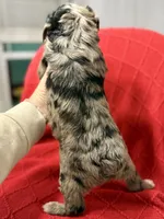 processed/4699521c-22d2-4a74-bf1a-62848d91c4e2/listing/4031b5c5-a207-4cd5-85e2-c4258e7ceba3/82bed335-99e6-4b0a-b019-3e1244c3065f