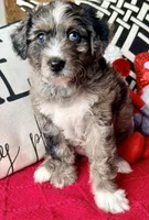 processed/4699521c-22d2-4a74-bf1a-62848d91c4e2/listing/4031b5c5-a207-4cd5-85e2-c4258e7ceba3/8ecc144d-af4e-4520-ac32-1e4ccfeb9ca7