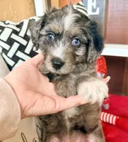 processed/4699521c-22d2-4a74-bf1a-62848d91c4e2/listing/4031b5c5-a207-4cd5-85e2-c4258e7ceba3/8f649415-2588-49d7-ac2b-e332e6eee2dc