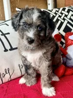 processed/4699521c-22d2-4a74-bf1a-62848d91c4e2/listing/4031b5c5-a207-4cd5-85e2-c4258e7ceba3/9efaf0d6-c0b8-4b75-8067-7b84f5412dba