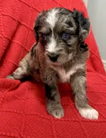 processed/4699521c-22d2-4a74-bf1a-62848d91c4e2/listing/4031b5c5-a207-4cd5-85e2-c4258e7ceba3/b89adc1a-88d0-447a-8811-4388ac4f9619