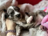 processed/4699521c-22d2-4a74-bf1a-62848d91c4e2/listing/4031b5c5-a207-4cd5-85e2-c4258e7ceba3/b9ed4c91-0503-458a-8346-92440ab98bb3