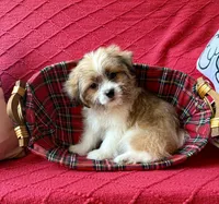 processed/4699521c-22d2-4a74-bf1a-62848d91c4e2/listing/4081e131-6b79-498f-a75d-09d04cce1045/045e0248-518f-4a9f-ab97-42e501533530