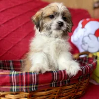 processed/4699521c-22d2-4a74-bf1a-62848d91c4e2/listing/4081e131-6b79-498f-a75d-09d04cce1045/1ca31cc6-71ed-4cfe-8c4c-f37297af89e8