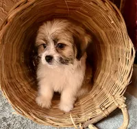 processed/4699521c-22d2-4a74-bf1a-62848d91c4e2/listing/4081e131-6b79-498f-a75d-09d04cce1045/314f6060-8d8c-413d-8c1f-17d5fe40930c