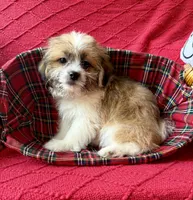 processed/4699521c-22d2-4a74-bf1a-62848d91c4e2/listing/4081e131-6b79-498f-a75d-09d04cce1045/41a15e67-d341-4da3-8d0d-6f97512e4c0f