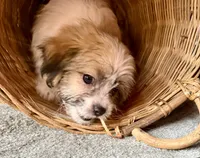 processed/4699521c-22d2-4a74-bf1a-62848d91c4e2/listing/4081e131-6b79-498f-a75d-09d04cce1045/52e5d77b-c0c7-4b84-8693-e1d5307203c0