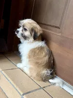 processed/4699521c-22d2-4a74-bf1a-62848d91c4e2/listing/4081e131-6b79-498f-a75d-09d04cce1045/8a56a34c-ce67-47d9-93cc-a9df4708425d