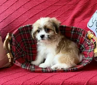 processed/4699521c-22d2-4a74-bf1a-62848d91c4e2/listing/4081e131-6b79-498f-a75d-09d04cce1045/9653486a-2c25-44dd-b9d1-704dd4d373f3