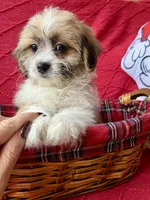 processed/4699521c-22d2-4a74-bf1a-62848d91c4e2/listing/4081e131-6b79-498f-a75d-09d04cce1045/deb077f5-6a48-4c88-aba2-97e73b585464