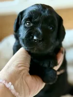 processed/4699521c-22d2-4a74-bf1a-62848d91c4e2/listing/41a77928-383f-4225-9026-728415fbd34a/02fd938d-069f-430d-9268-a861c70bb3d9