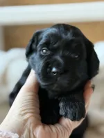 processed/4699521c-22d2-4a74-bf1a-62848d91c4e2/listing/41a77928-383f-4225-9026-728415fbd34a/059a8a36-d9ff-4371-977d-c4ec312783ab