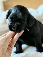 processed/4699521c-22d2-4a74-bf1a-62848d91c4e2/listing/41a77928-383f-4225-9026-728415fbd34a/75716052-b018-4b25-b709-7d09903c1c6c