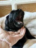 processed/4699521c-22d2-4a74-bf1a-62848d91c4e2/listing/41a77928-383f-4225-9026-728415fbd34a/8b330f5e-142f-4a35-9ce7-bcf2371c7f3d