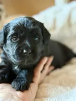 processed/4699521c-22d2-4a74-bf1a-62848d91c4e2/listing/41a77928-383f-4225-9026-728415fbd34a/bb9f906a-a705-4699-8822-adea53accabe