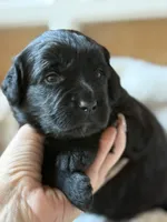 processed/4699521c-22d2-4a74-bf1a-62848d91c4e2/listing/41a77928-383f-4225-9026-728415fbd34a/e1cbeff3-c3a1-498e-b1e0-de728bcb9248