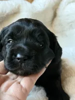 processed/4699521c-22d2-4a74-bf1a-62848d91c4e2/listing/41a77928-383f-4225-9026-728415fbd34a/f331e30d-4f8b-4ee3-a580-493cf4e18a1c