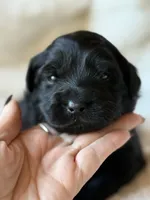 processed/4699521c-22d2-4a74-bf1a-62848d91c4e2/listing/51605fdd-b85b-48ed-8a13-d21d87ae3499/1a0549f6-f3fe-4889-986b-b286f84dfe95