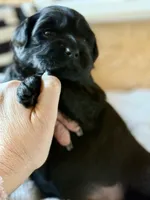 processed/4699521c-22d2-4a74-bf1a-62848d91c4e2/listing/51605fdd-b85b-48ed-8a13-d21d87ae3499/1f5d5790-c42c-43d4-a5d1-ba93cb0d4103