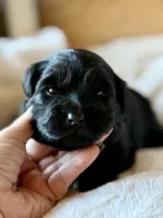 processed/4699521c-22d2-4a74-bf1a-62848d91c4e2/listing/51605fdd-b85b-48ed-8a13-d21d87ae3499/36ac2c7a-874d-4908-8463-c5c8a7753cb0