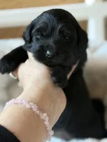 processed/4699521c-22d2-4a74-bf1a-62848d91c4e2/listing/51605fdd-b85b-48ed-8a13-d21d87ae3499/9263e6ff-d183-40cc-8cf8-b2544340476a