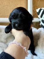 processed/4699521c-22d2-4a74-bf1a-62848d91c4e2/listing/51605fdd-b85b-48ed-8a13-d21d87ae3499/abd229f3-7660-4ac6-821d-88c8c8fd9ae8