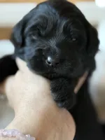 processed/4699521c-22d2-4a74-bf1a-62848d91c4e2/listing/51605fdd-b85b-48ed-8a13-d21d87ae3499/be030564-8310-4101-89ab-f8dc05bf2151