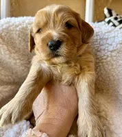 processed/4699521c-22d2-4a74-bf1a-62848d91c4e2/listing/68a990be-bd78-4142-a15f-d597f58febc5/1fc41ce1-40bb-4b1b-b3a0-8d839298afbe