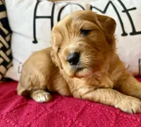 processed/4699521c-22d2-4a74-bf1a-62848d91c4e2/listing/68a990be-bd78-4142-a15f-d597f58febc5/672fd622-ec9c-463e-901c-ad833862503c