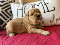 processed/4699521c-22d2-4a74-bf1a-62848d91c4e2/listing/68a990be-bd78-4142-a15f-d597f58febc5/b3cebdbe-7779-45db-aa2d-fe2cbbe23d28