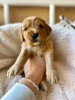 processed/4699521c-22d2-4a74-bf1a-62848d91c4e2/listing/68a990be-bd78-4142-a15f-d597f58febc5/c18834aa-ced0-4d3f-8129-b02de55a6172