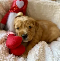 processed/4699521c-22d2-4a74-bf1a-62848d91c4e2/listing/68a990be-bd78-4142-a15f-d597f58febc5/c9a8c702-b054-441a-b5a6-ebf5edfdaa97