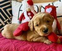 processed/4699521c-22d2-4a74-bf1a-62848d91c4e2/listing/68a990be-bd78-4142-a15f-d597f58febc5/e835a341-f98a-4ab3-9656-d5319bb300ae