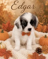 Edgar -one blue eye , a male Cavapoo for sale in Spring Hill, FL – 1 of 10