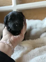 processed/4699521c-22d2-4a74-bf1a-62848d91c4e2/listing/74bc871e-c722-4d6f-91ae-ff554bdb91ab/48686a83-ed48-4b4e-a79c-21e494643fb2