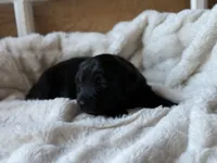 processed/4699521c-22d2-4a74-bf1a-62848d91c4e2/listing/74bc871e-c722-4d6f-91ae-ff554bdb91ab/564f0bee-0219-4943-9d6f-4ee057985be0