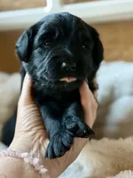 processed/4699521c-22d2-4a74-bf1a-62848d91c4e2/listing/74bc871e-c722-4d6f-91ae-ff554bdb91ab/91697587-4cf0-4b4a-b427-1466506bad8b