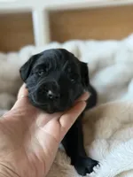 processed/4699521c-22d2-4a74-bf1a-62848d91c4e2/listing/74bc871e-c722-4d6f-91ae-ff554bdb91ab/a04cb20f-ddf0-4c73-999d-9213645717bb