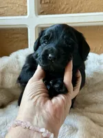 processed/4699521c-22d2-4a74-bf1a-62848d91c4e2/listing/74bc871e-c722-4d6f-91ae-ff554bdb91ab/aaceca93-521c-4ef0-892a-9000ee186984