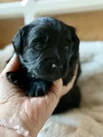 processed/4699521c-22d2-4a74-bf1a-62848d91c4e2/listing/74bc871e-c722-4d6f-91ae-ff554bdb91ab/fdeaa1c1-edc2-4059-9054-b17bf616660c