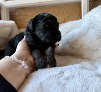 processed/4699521c-22d2-4a74-bf1a-62848d91c4e2/listing/7aeab627-b66d-486c-8f17-d96117497564/16e86ddb-21f6-4a33-bcfe-6e2f5720d1dc