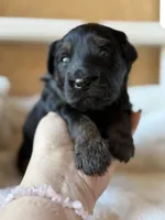 processed/4699521c-22d2-4a74-bf1a-62848d91c4e2/listing/7aeab627-b66d-486c-8f17-d96117497564/3f709bbd-7789-4a23-8d1b-53127a17d970