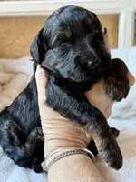 processed/4699521c-22d2-4a74-bf1a-62848d91c4e2/listing/7aeab627-b66d-486c-8f17-d96117497564/67e7ffc3-4f2c-48cf-ab7a-6dfd86efcb93